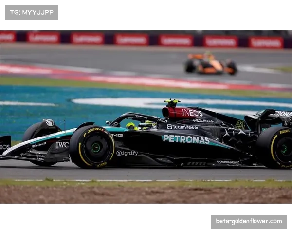 汉密尔顿丰富经验助力车队赛车研发方向